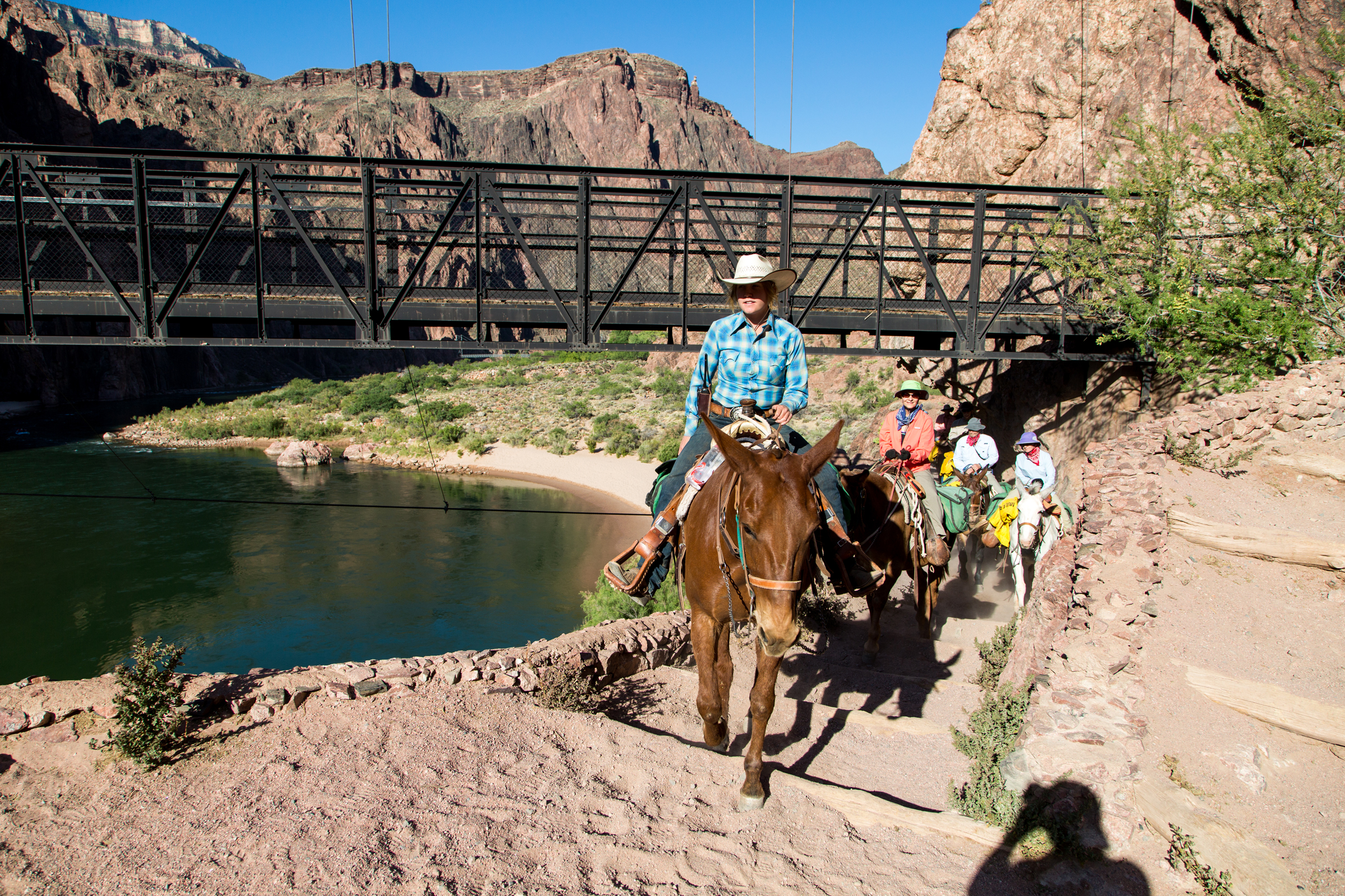 7 Amazing Grand Canyon Adventures - Xanterra Travel Collection®