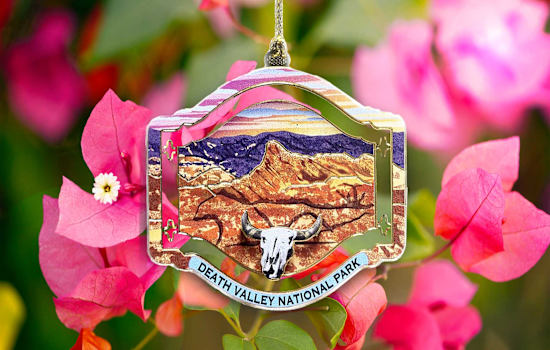 Oasis Ornament